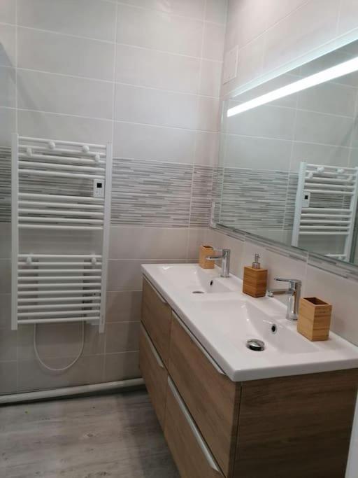 L'Harmonie 72M2 - 2 Chambres Parentales - Rue De La Halle - Hyper Centre ルルド エクステリア 写真